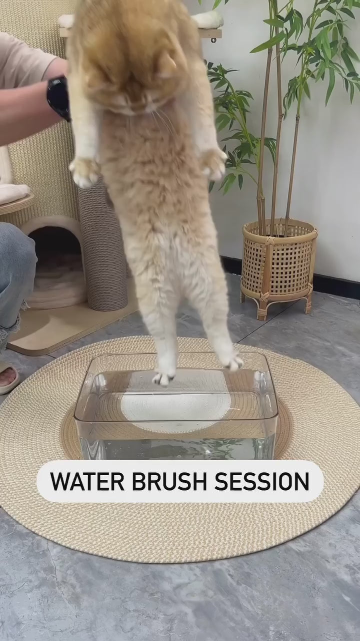 FurMist- Electric Cat Steam Brush